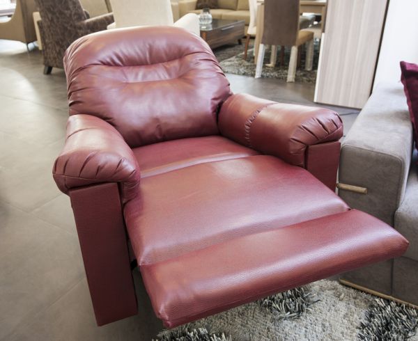 Recliner Assembly in Petaluma