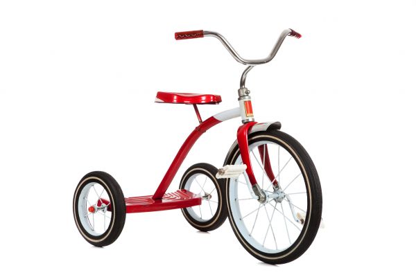 Tricycle Assembly in Petaluma