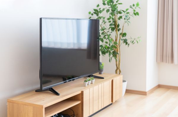 TV Stand Assembly in Petaluma