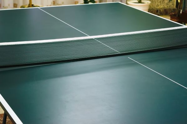 Ping Pong Table Assembly in Petaluma