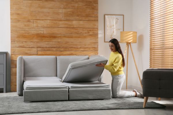 Convertible Bed Assembly in Petaluma